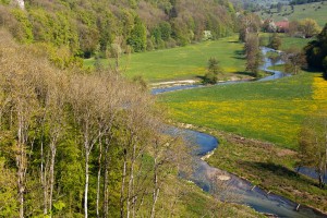 die Brenz im Eselsburger Tal