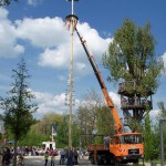 Maibaum