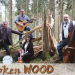 Broken-Wood