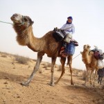 SiP-Sahara